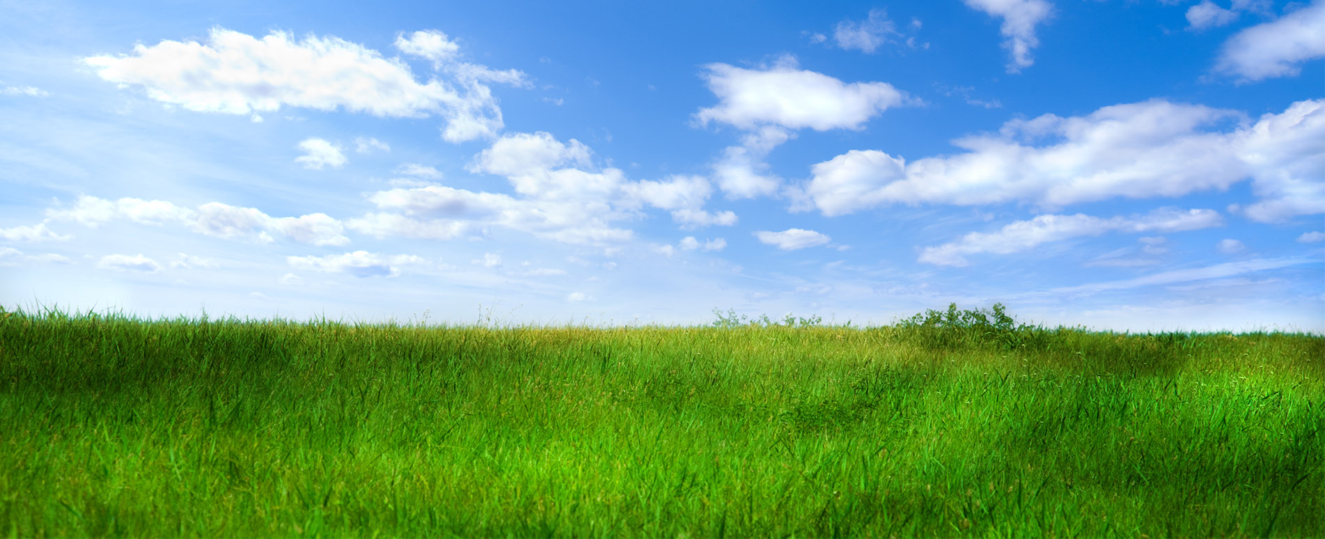 Banner - Peter  Steinkühler